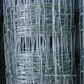 Animal Fencing 2.5mm 4ft 5ft 6ft 8ft height Pasture fence goat farming grassland cheap field fence Supplier